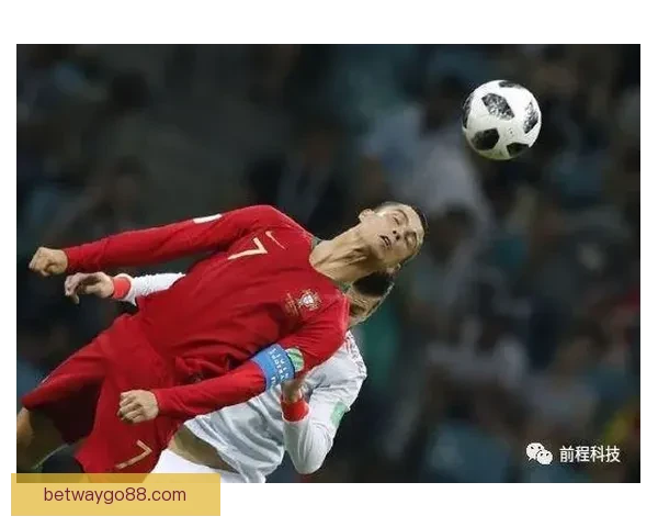 世界杯买球攻略全面解析让你轻松掌握投注技巧